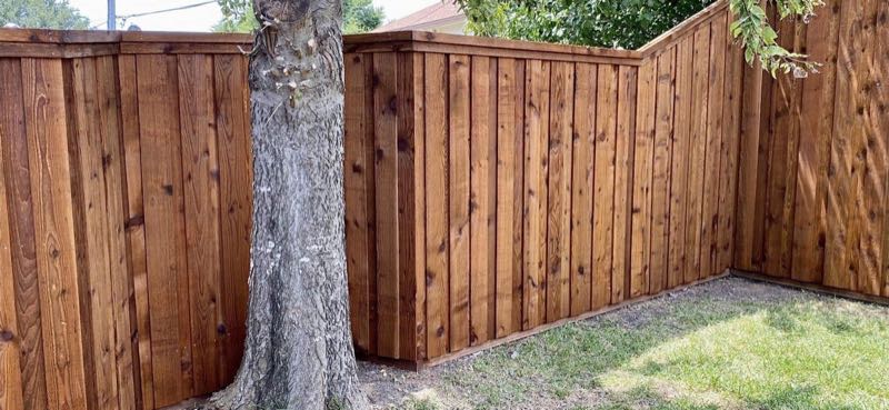 Cedar Privacy Fence in Saginaw